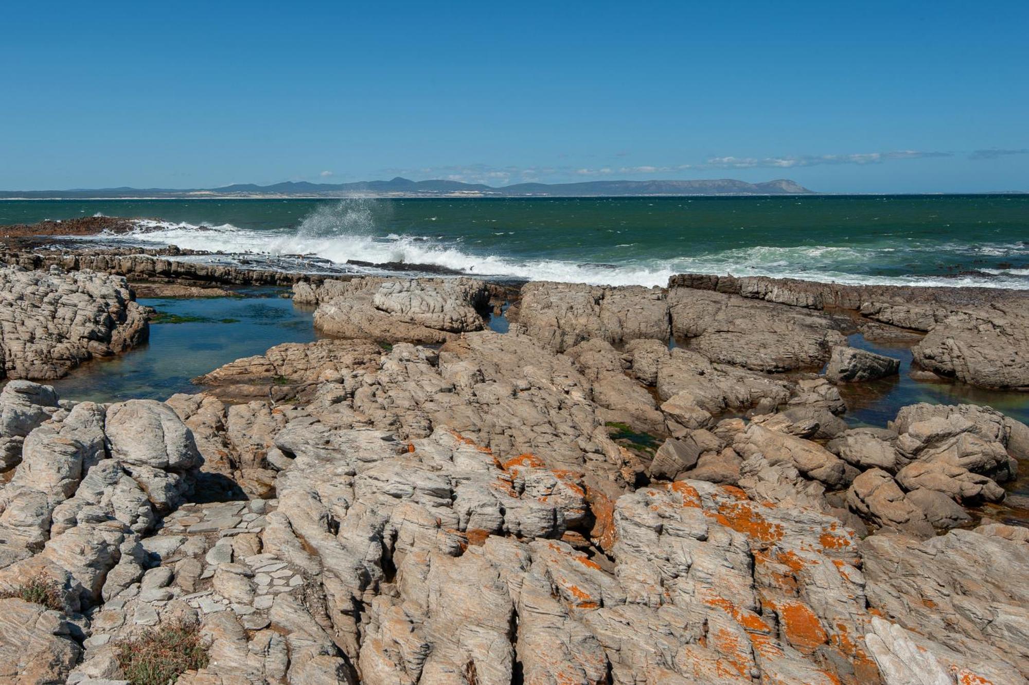 64 Whalerock Estate Apartman Hermanus Kültér fotó